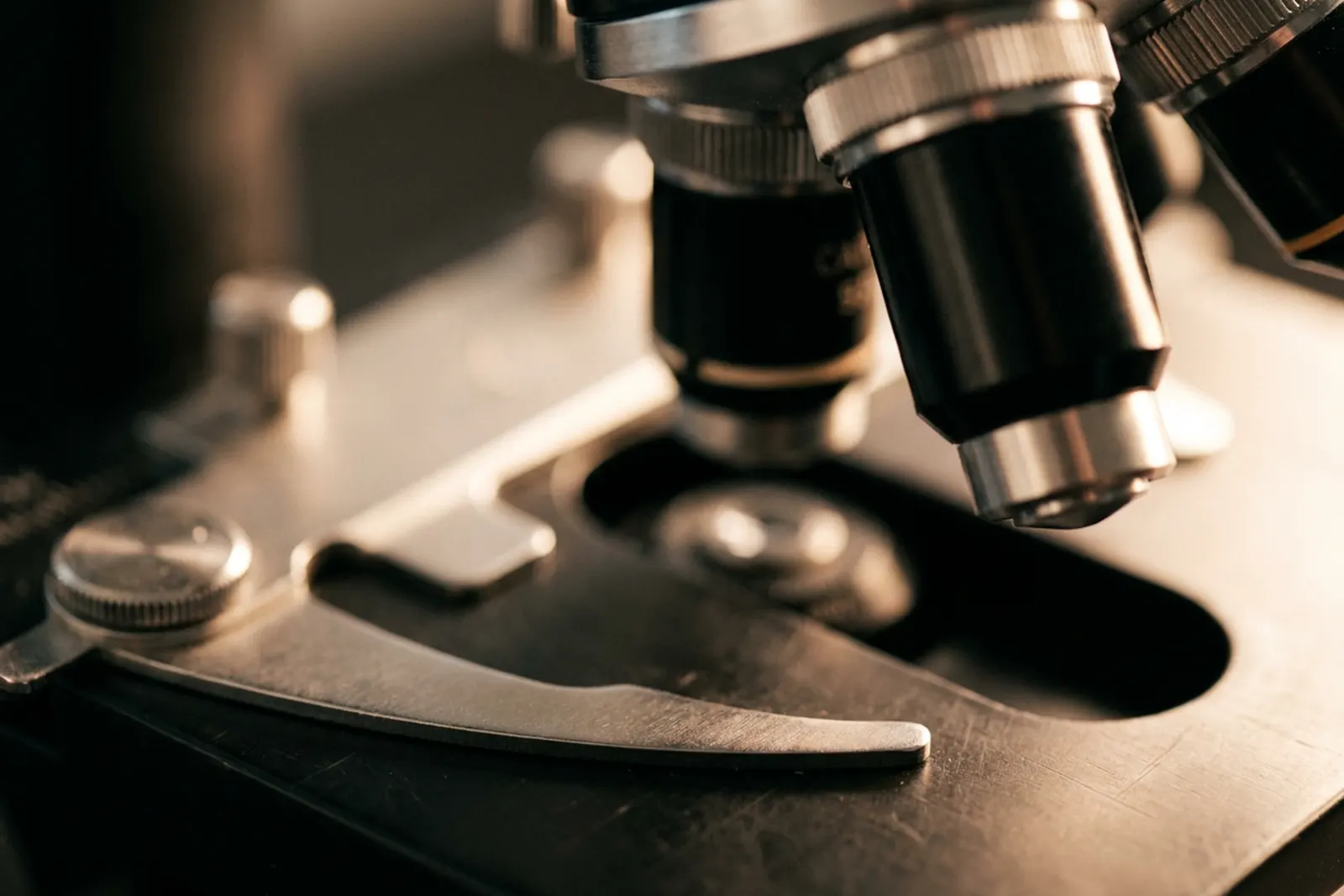 Microscope objective in close detail